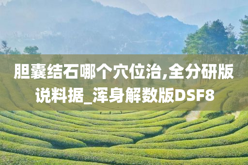 胆囊结石哪个穴位治,全分研版说料据_浑身解数版DSF8