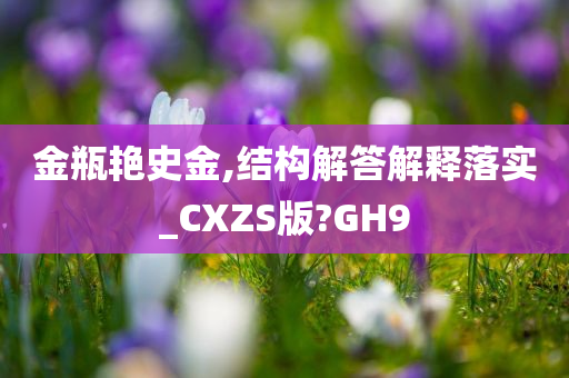 金瓶艳史金,结构解答解释落实_CXZS版?GH9