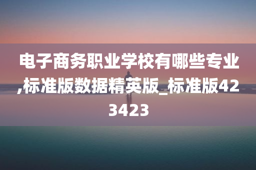 电子商务职业学校有哪些专业,标准版数据精英版_标准版423423