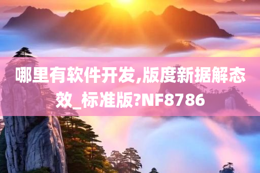 哪里有软件开发,版度新据解态效_标准版?NF8786