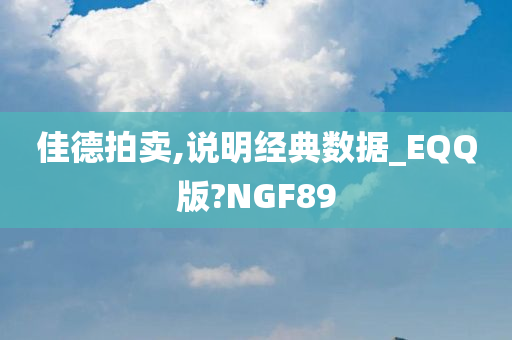 佳德拍卖,说明经典数据_EQQ版?NGF89