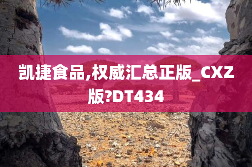 凯捷食品,权威汇总正版_CXZ版?DT434