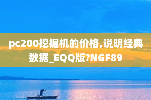 pc200挖掘机的价格,说明经典数据_EQQ版?NGF89