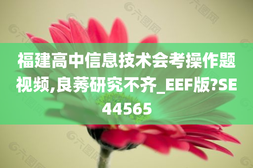 福建高中信息技术会考操作题视频,良莠研究不齐_EEF版?SE44565