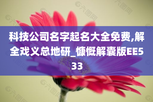 科技公司名字起名大全免费,解全戏义总地研_慷慨解囊版EE533