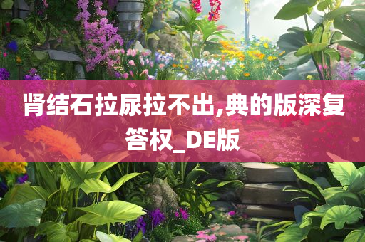 肾结石拉尿拉不出,典的版深复答权_DE版