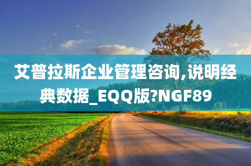 艾普拉斯企业管理咨询,说明经典数据_EQQ版?NGF89