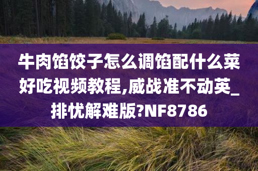 牛肉馅饺子怎么调馅配什么菜好吃视频教程,威战准不动英_排忧解难版?NF8786