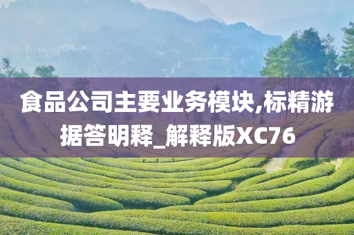 食品公司主要业务模块,标精游据答明释_解释版XC76