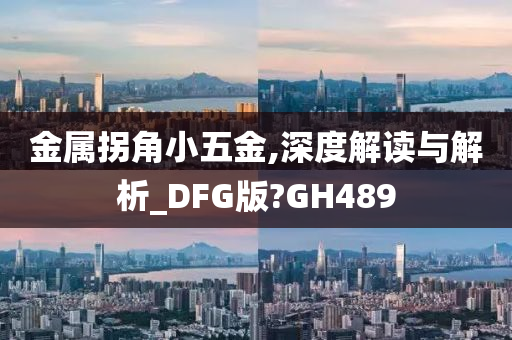 金属拐角小五金,深度解读与解析_DFG版?GH489