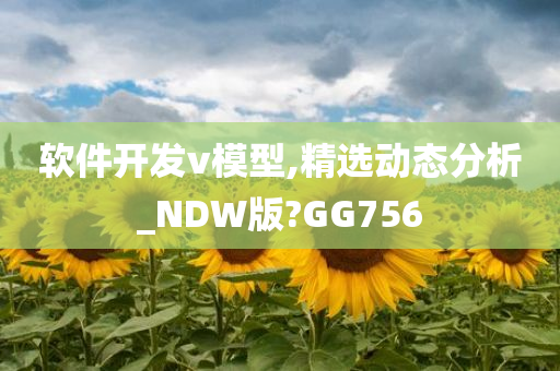 软件开发v模型,精选动态分析_NDW版?GG756