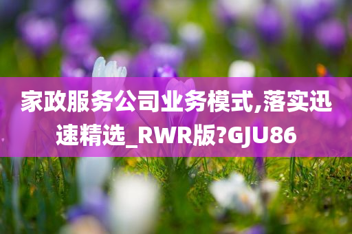 家政服务公司业务模式,落实迅速精选_RWR版?GJU86