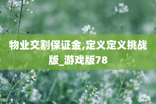 物业交割保证金,定义定义挑战版_游戏版78