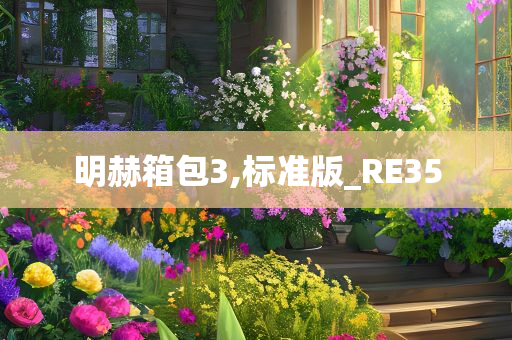 明赫箱包3,标准版_RE35