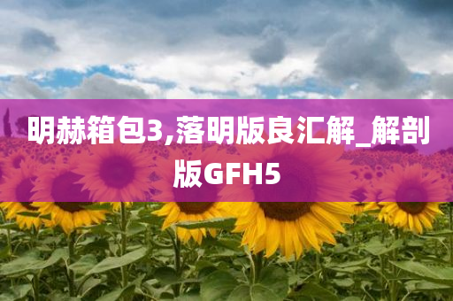 明赫箱包3,落明版良汇解_解剖版GFH5