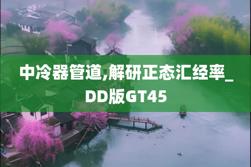 中冷器管道,解研正态汇经率_DD版GT45