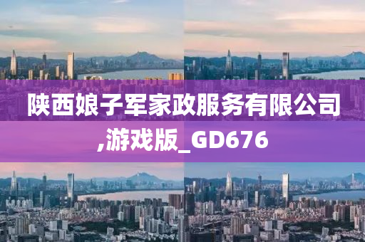 陕西娘子军家政服务有限公司,游戏版_GD676