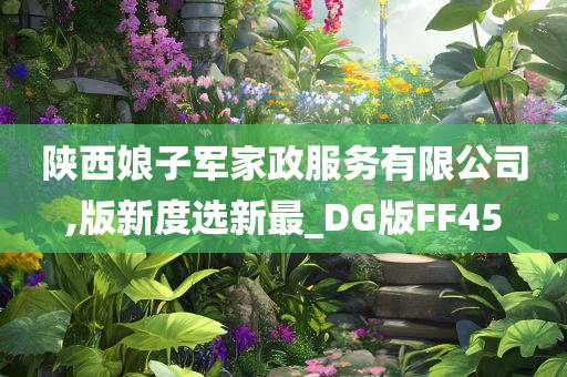 陕西娘子军家政服务有限公司,版新度选新最_DG版FF45