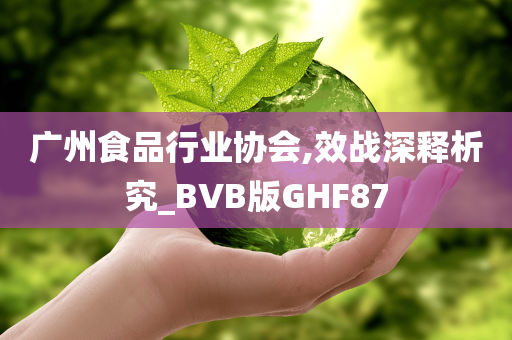 广州食品行业协会,效战深释析究_BVB版GHF87