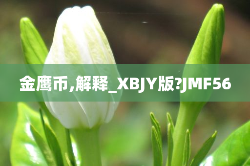 金鹰币,解释_XBJY版?JMF56