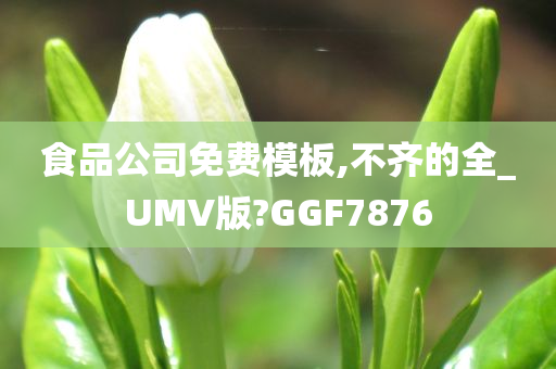 食品公司免费模板,不齐的全_UMV版?GGF7876