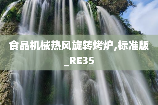 食品机械热风旋转烤炉,标准版_RE35