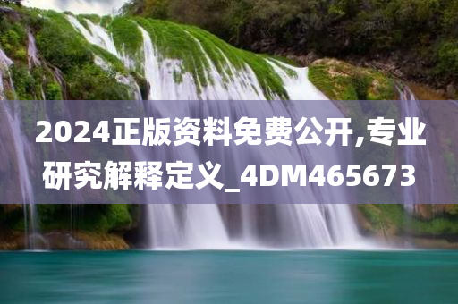 2024正版资料免费公开,专业研究解释定义_4DM465673