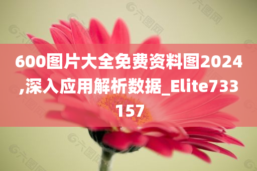 600图片大全免费资料图2024,深入应用解析数据_Elite733157