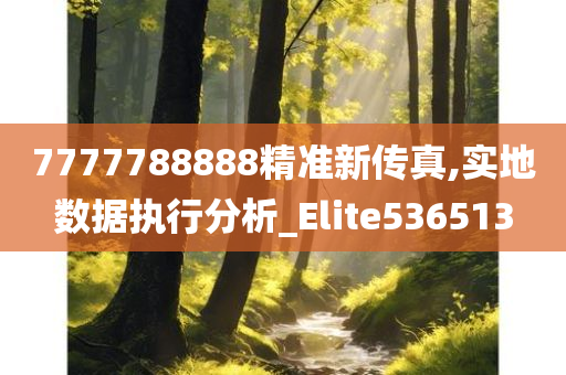 7777788888精准新传真,实地数据执行分析_Elite536513