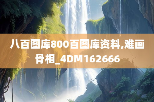 八百图库800百图库资料,难画骨相_4DM162666