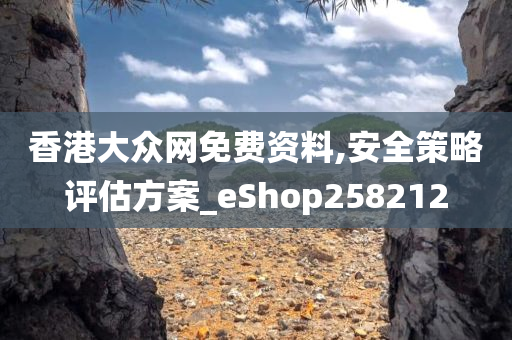 香港大众网免费资料,安全策略评估方案_eShop258212