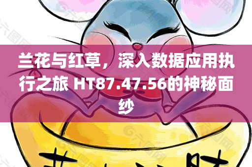 兰花与红草，深入数据应用执行之旅 HT87.47.56的神秘面纱