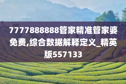 7777888888管家精准管家婆免费,综合数据解释定义_精英版557133