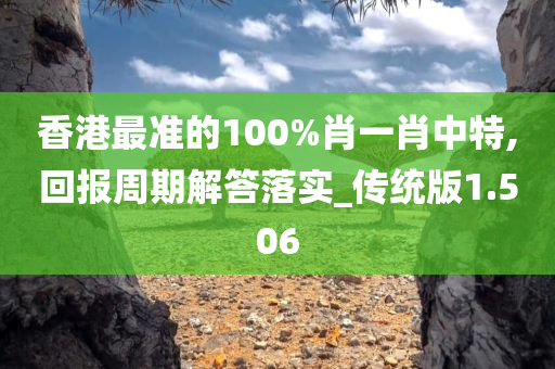 香港最准的100%肖一肖中特,回报周期解答落实_传统版1.506