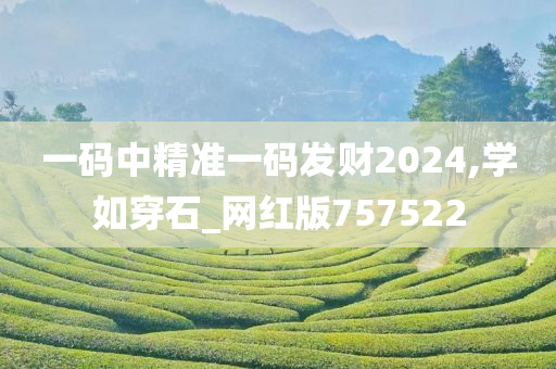 一码中精准一码发财2024,学如穿石_网红版757522