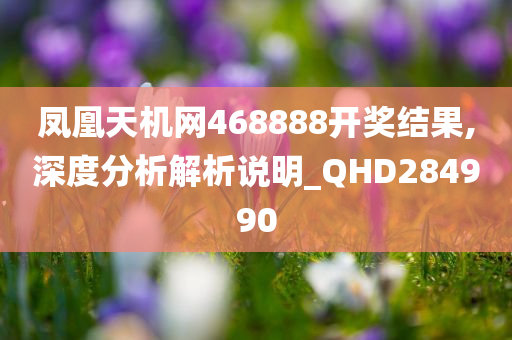 凤凰天机网468888开奖结果,深度分析解析说明_QHD284990