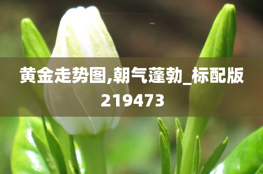 黄金走势图,朝气蓬勃_标配版219473