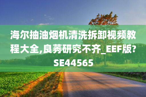 海尔抽油烟机清洗拆卸视频教程大全,良莠研究不齐_EEF版?SE44565