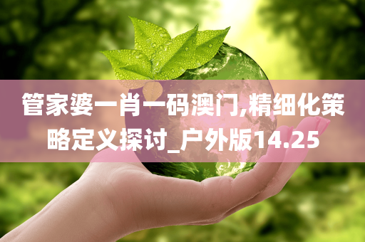 管家婆一肖一码澳门,精细化策略定义探讨_户外版14.25