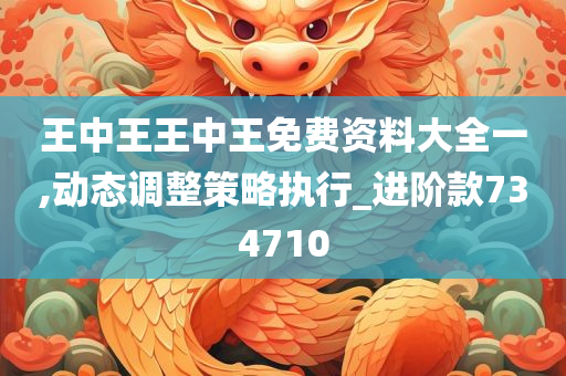 王中王王中王免费资料大全一,动态调整策略执行_进阶款734710