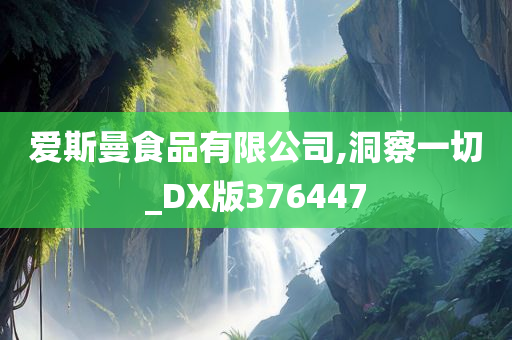 爱斯曼食品有限公司,洞察一切_DX版376447