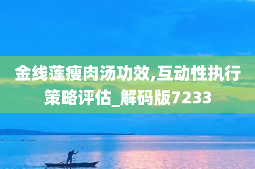 金线莲瘦肉汤功效,互动性执行策略评估_解码版7233