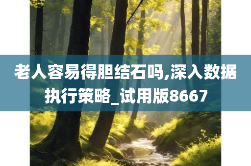 老人容易得胆结石吗,深入数据执行策略_试用版8667