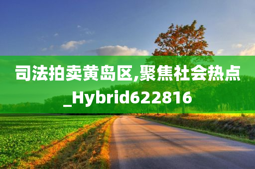 司法拍卖黄岛区,聚焦社会热点_Hybrid622816