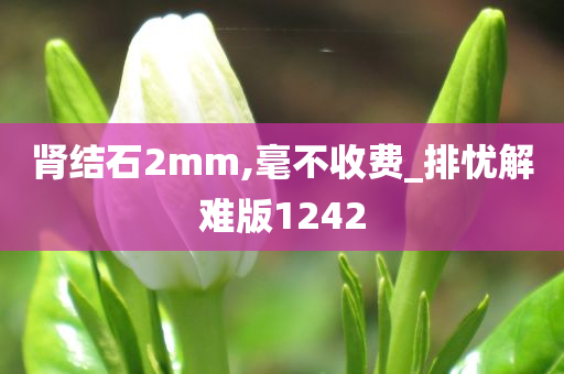 肾结石2mm,毫不收费_排忧解难版1242