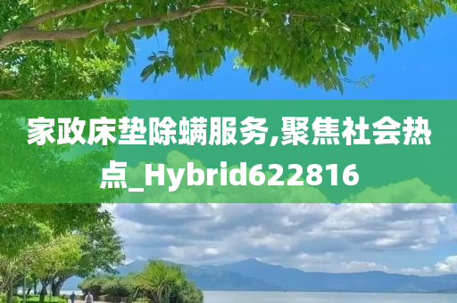 家政床垫除螨服务,聚焦社会热点_Hybrid622816