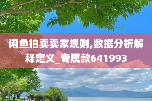 闲鱼拍卖卖家规则,数据分析解释定义_专属款641993