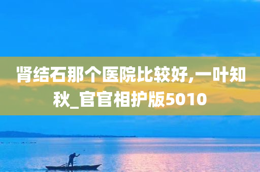 肾结石那个医院比较好,一叶知秋_官官相护版5010