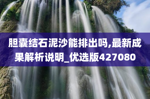 胆囊结石泥沙能排出吗,最新成果解析说明_优选版427080