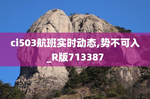 ci503航班实时动态,势不可入_R版713387